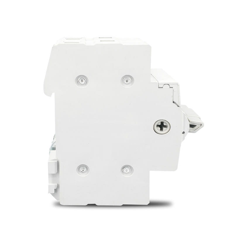 2P 63A المزدوج الطاقة دليل نقل - مراجعة Din Rail Circuit Breaker وسعره